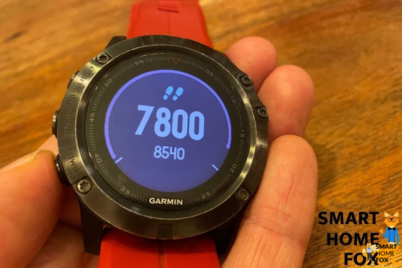 fenix 5 compteur de pas